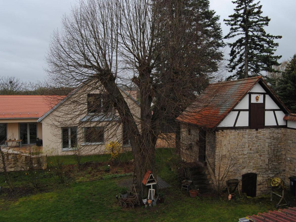 Ferienhaus Lindenhof Nohra  Экстерьер фото